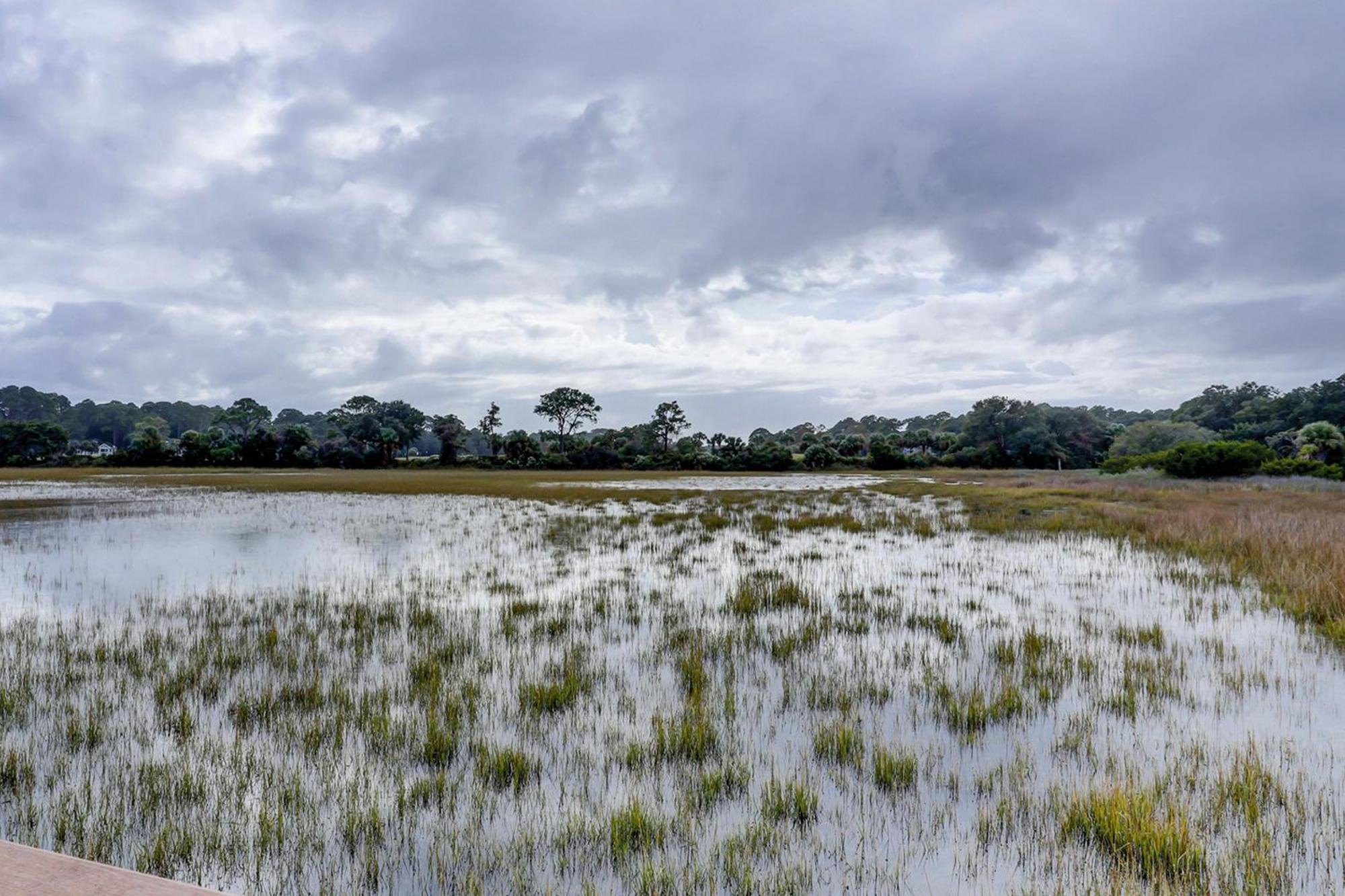 Hilton Head Resort Гілтон-Гед-Айленд Номер фото
